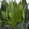 KARE Design Pianta decorativa Agave 120cm - KARE> Piante Artificiali