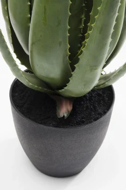 KARE Design Pianta Decorativa Aloe 69cm - KARE> Piante Artificiali