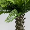 KARE Design Pianta decorativa Cycas 70cm - KARE> Piante Artificiali