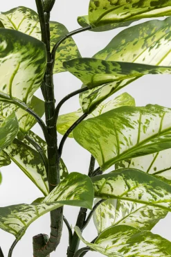 KARE Design Pianta decorativa Dieffenbachie 100cm - KARE> Piante Artificiali