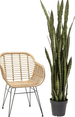 KARE Design PIANTA DECORATIVA SANSEWIERIA 155CM - KARE></noscript> Piante Artificiali