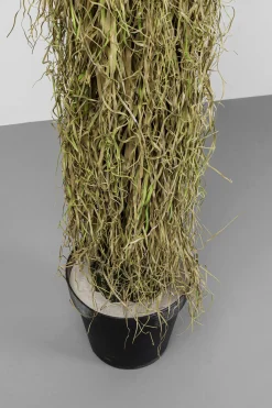 KARE Design Pianta decorativa Yucca Rostrata 180cm - KARE></noscript> Piante Artificiali