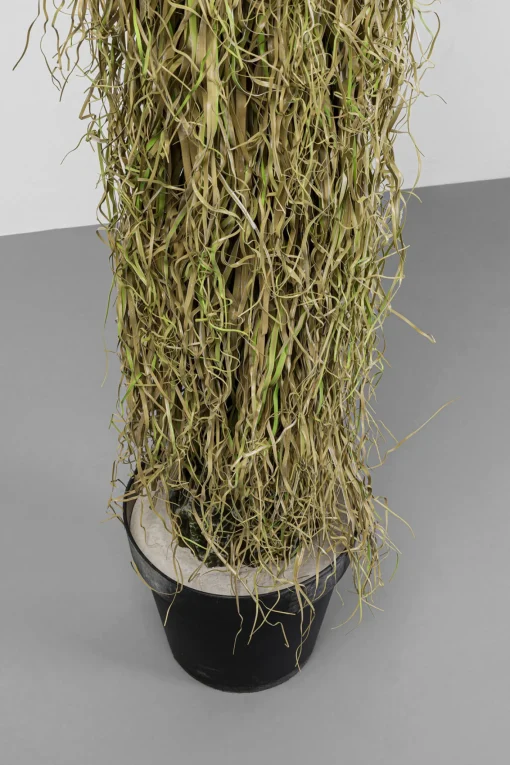 KARE Design Pianta decorativa Yucca Rostrata 180cm - KARE> Piante Artificiali