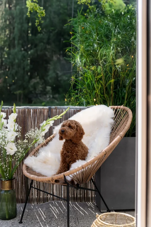 KARE Design Poltrona Spaghetti Naturale - KARE> Poltrone