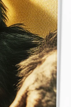 KARE Design Quadro vetro Holiday Monkey 80x60cm - KARE></noscript> Quadri