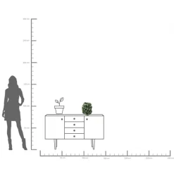 KARE Design Vaso Avocados 31cm - KARE></noscript> Vasi